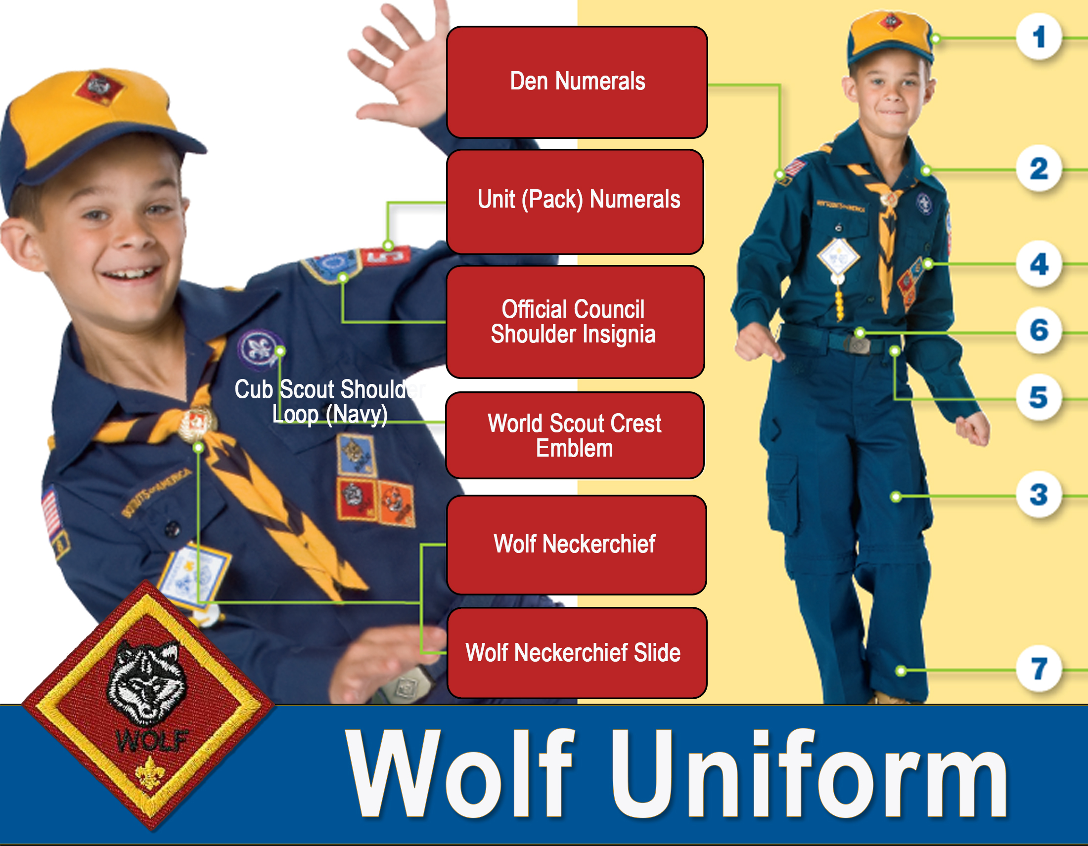 Cub Scouts Uniform 91