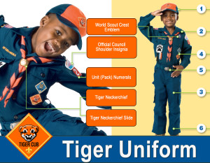 Tiger-Uniform-Guide
